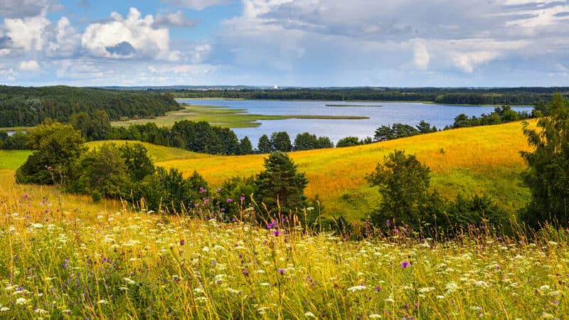 Вечерний гастротур по городу